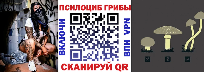 Псилоцибиновые грибы прущие грибы  сколько стоит  Красноармейск 